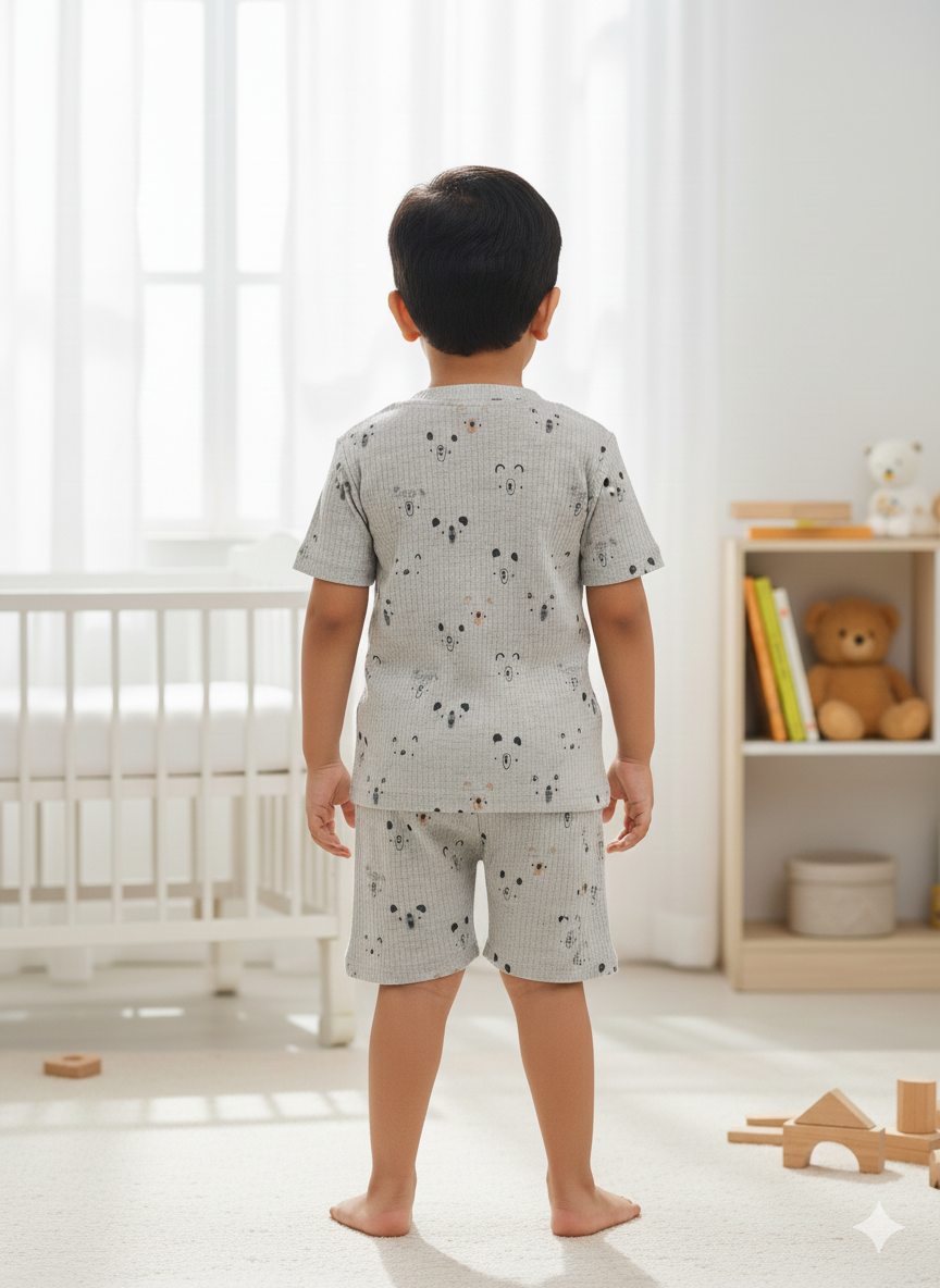 Lilimi Boy's Comfort Tee & Shorts Set